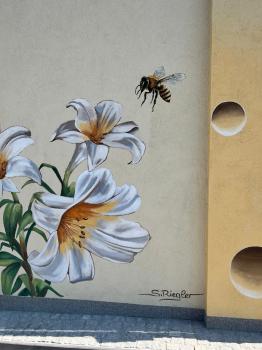 83e6fa71-f578-4f41-a456-a333880ba87e