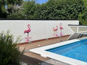 Flamingos
